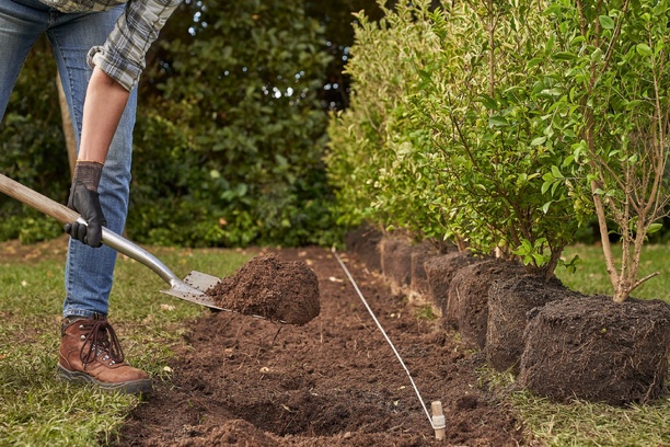 Les plantations Les plantations