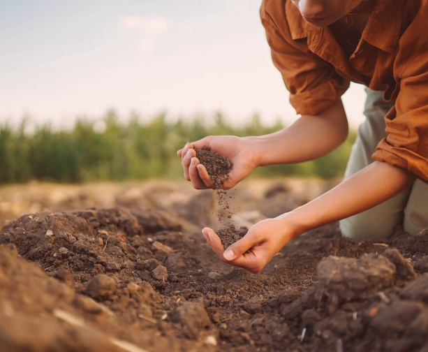 Les Engrais Les Engrais